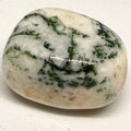 Tree Agate Tumblestone – Grounding, Calm & Nature Connection