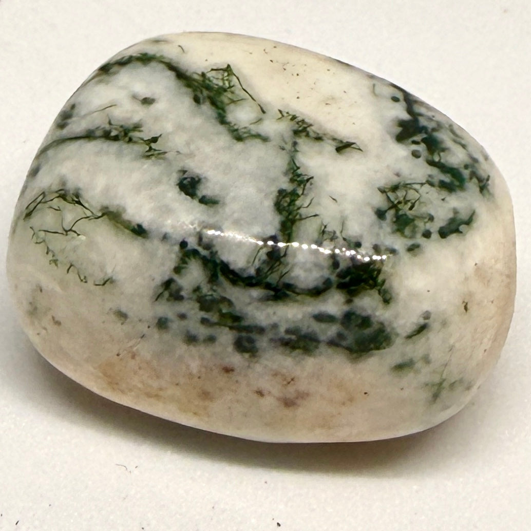 Tree Agate Tumblestone – Grounding, Calm & Nature Connection