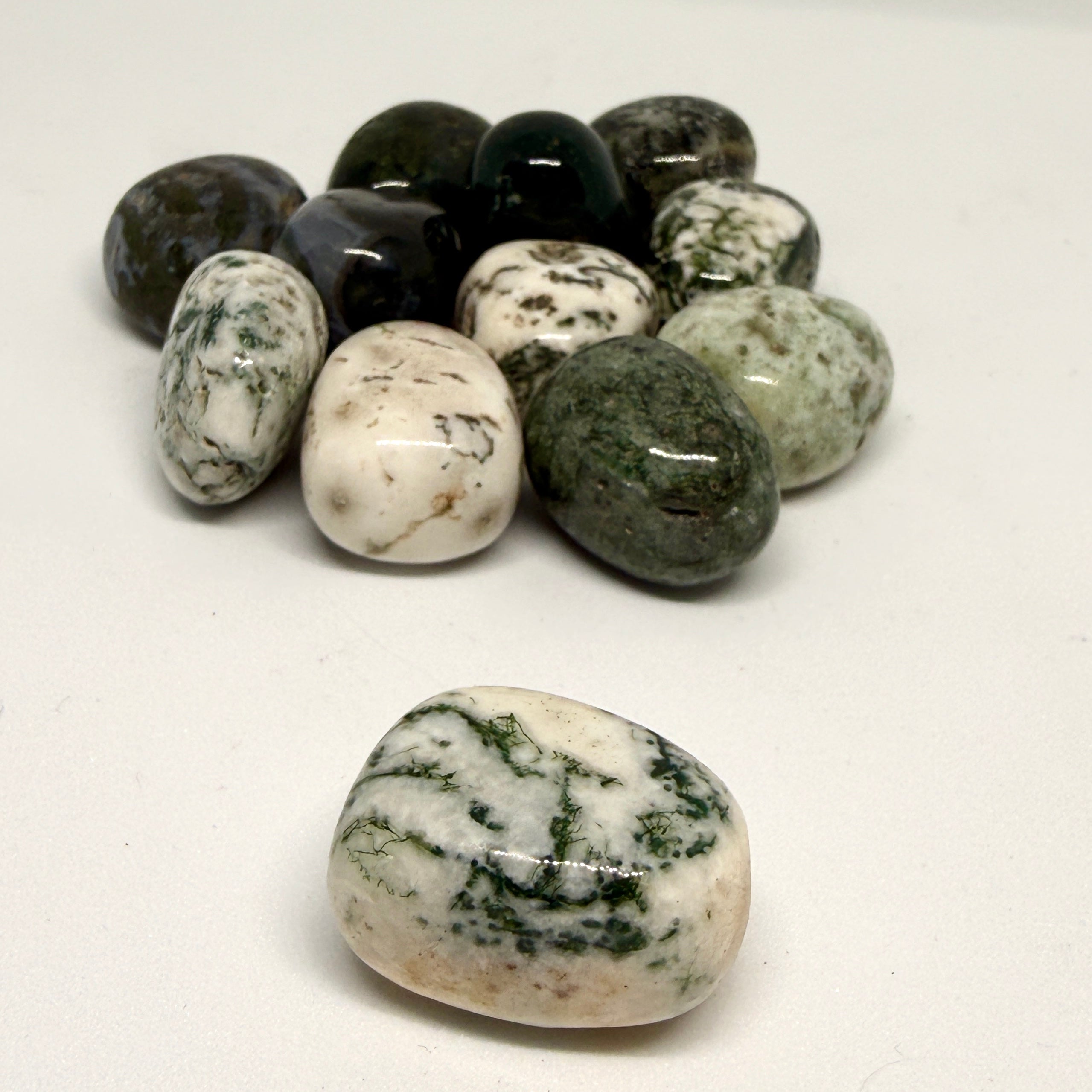Tree Agate Tumblestone – Grounding, Calm & Nature Connection