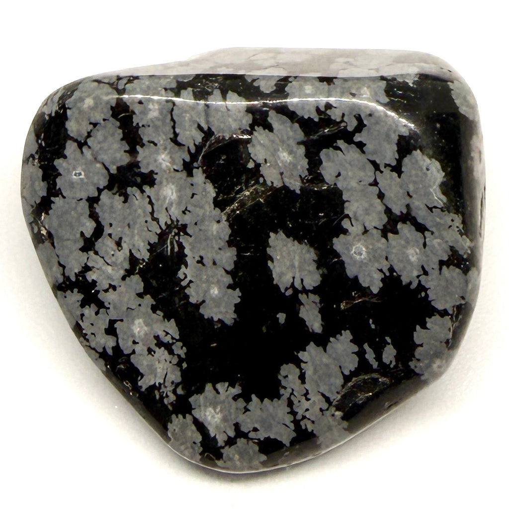 Snowflake Obsidian Tumblestone – Grounding, Clarity & Emotional Balance
