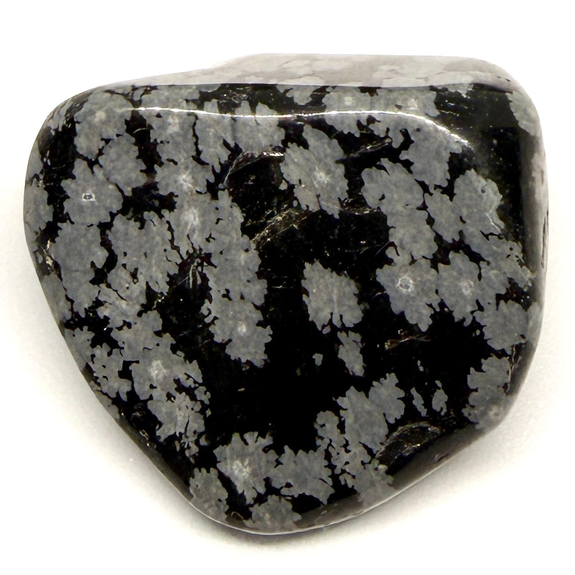 Snowflake Obsidian Tumblestone – Grounding, Clarity & Emotional Balance