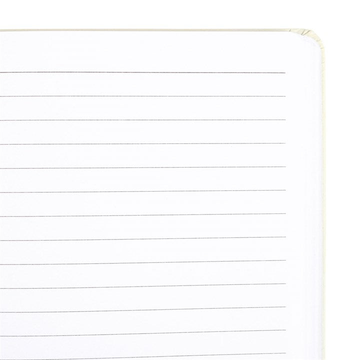 Sheet of lined paper with a white background