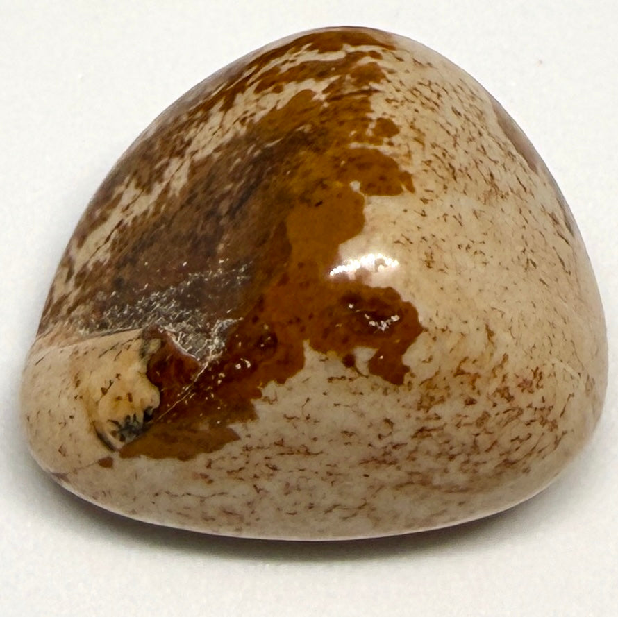 Picture Jasper Tumblestone – Creativity, Grounding & Calm