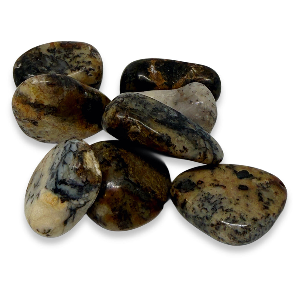 Collection of polished brown and black stones on a white background