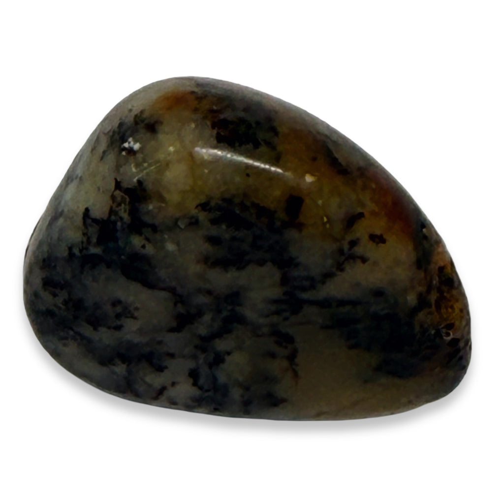 Polished stone with brown and black patterns on a white background