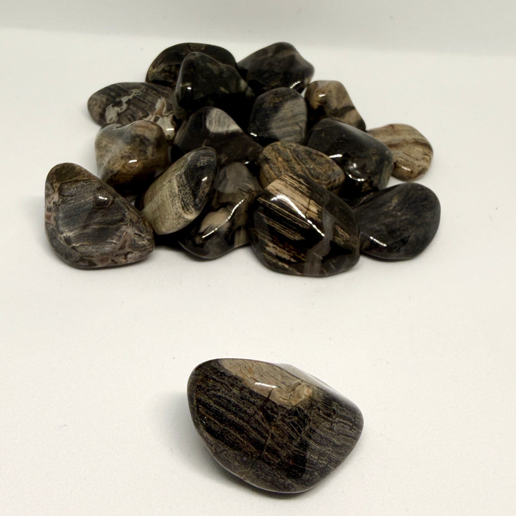 Tumbled black stones on a white background