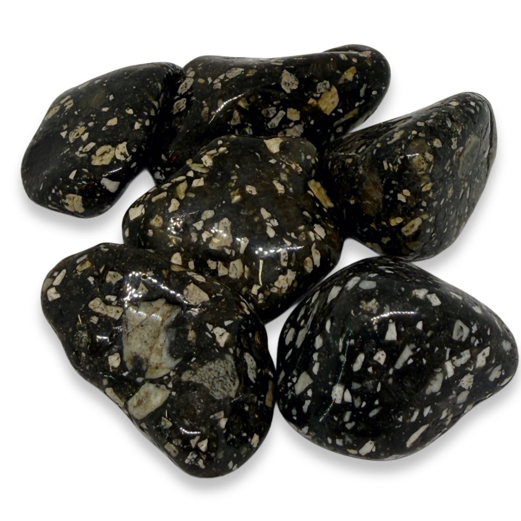 Black and white speckled stones on a white background