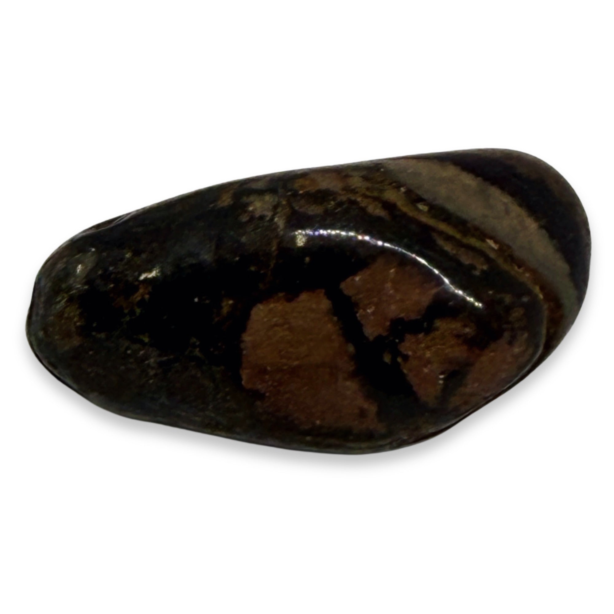 Polished brown stone on a white background