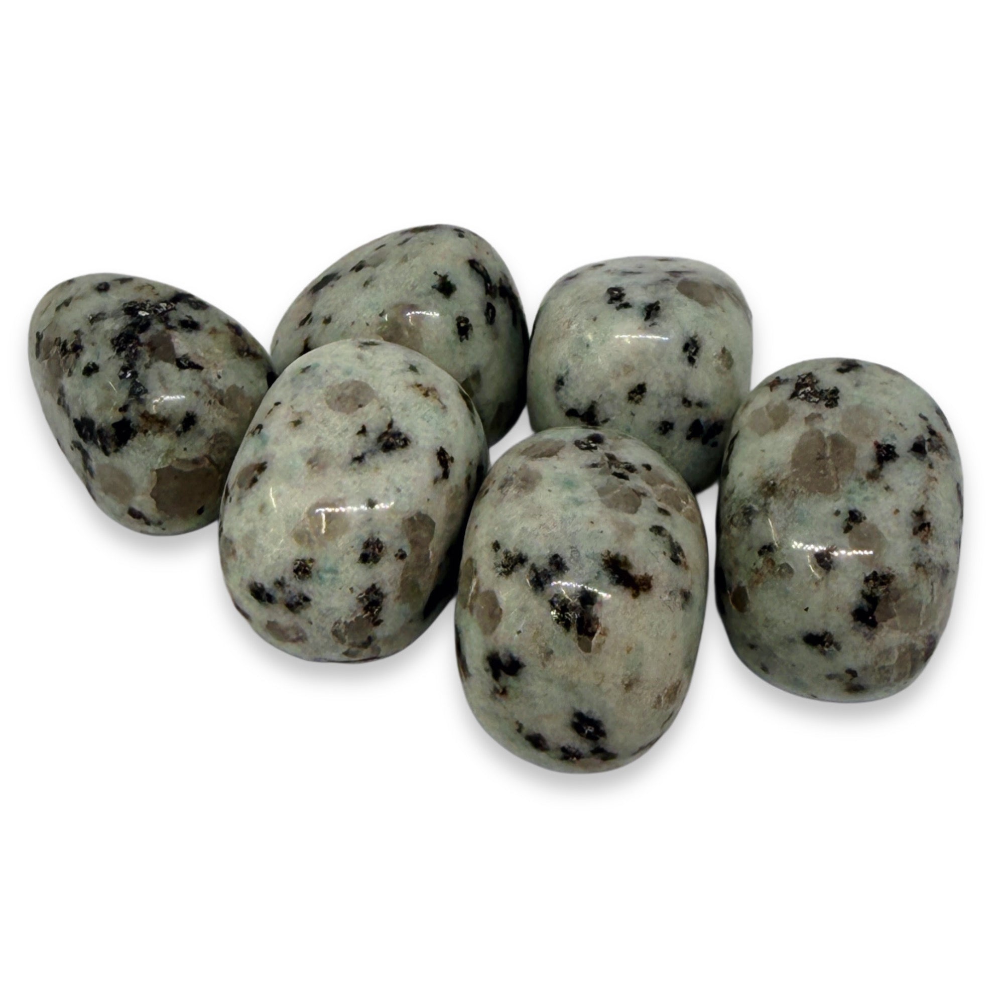 Seven polished dalmatian jasper stones on a white background