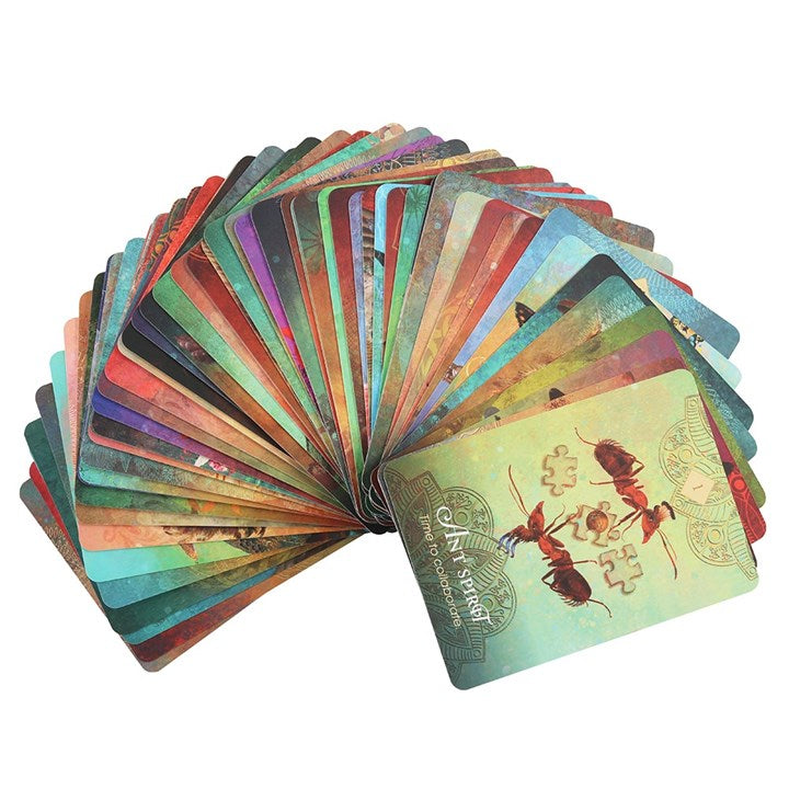 Set of colorful playing cards fanned out on a white background