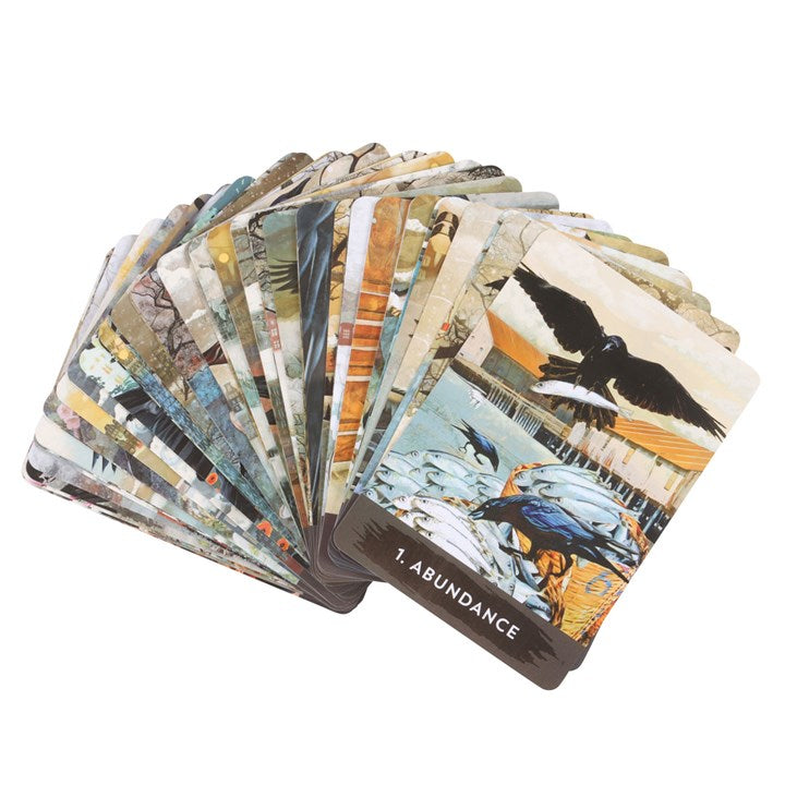 Fanned-out tarot cards with various designs on a white background