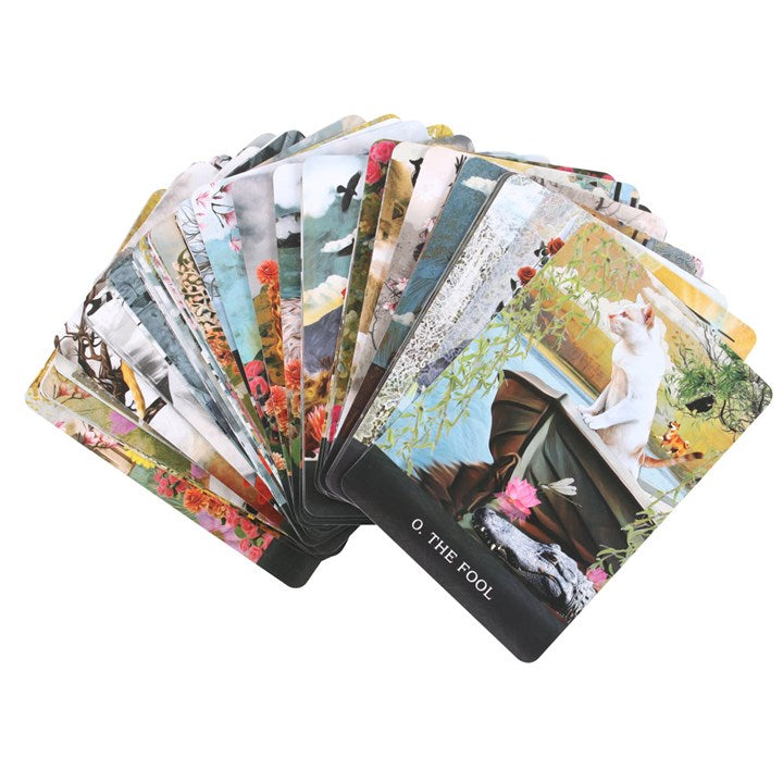 Set of tarot cards with colorful illustrations on a white background