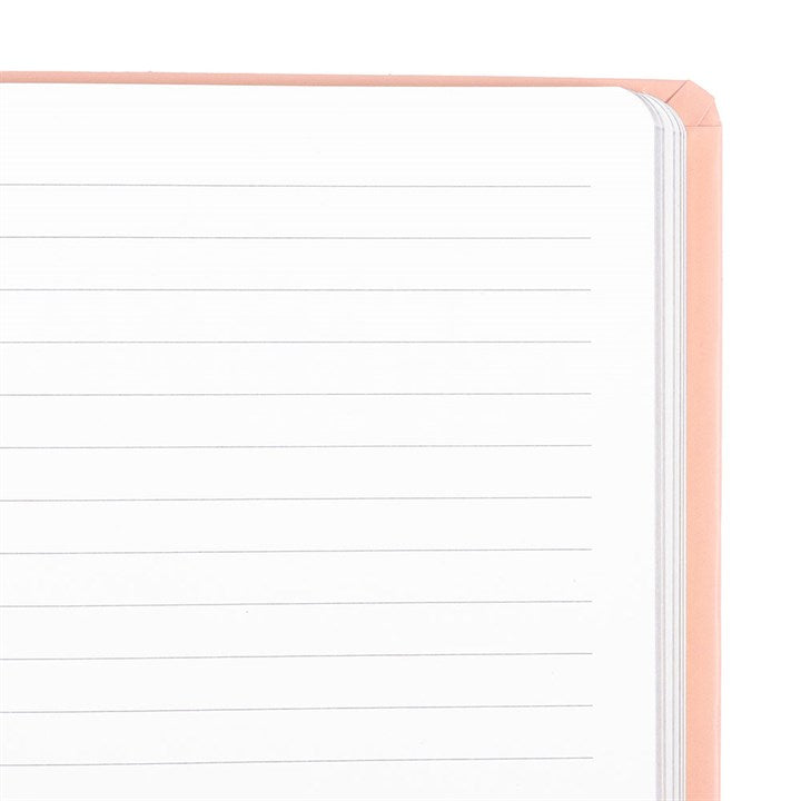 Notebook with pink border and lined pages on a white background
